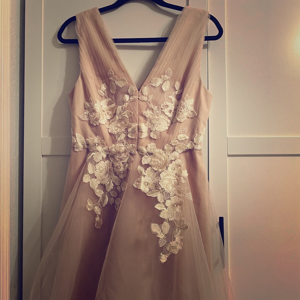 Bcbgmaxazria tulle dress in bare pink